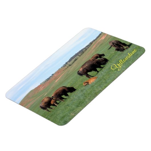 Magnet de Yellowstone (Côté Gauche)