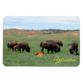 Magnet de Yellowstone (Horizontal)