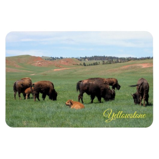 Magnet de Yellowstone (Horizontal)