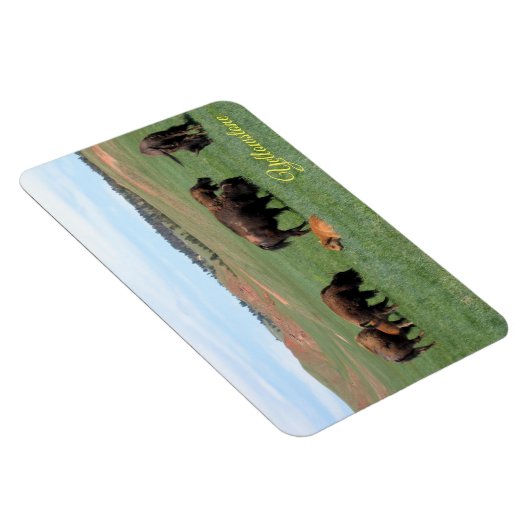 Magnet de Yellowstone (Côté Droit)