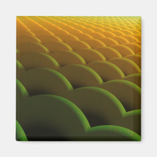 Magnet d'échelles fractales