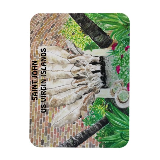 Magnet des ânes (Vertical)