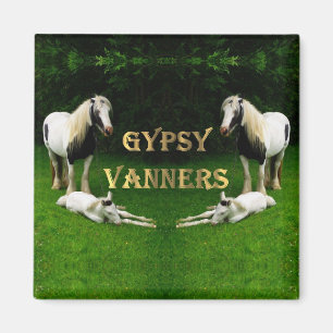 Magnet des bannières tziganes