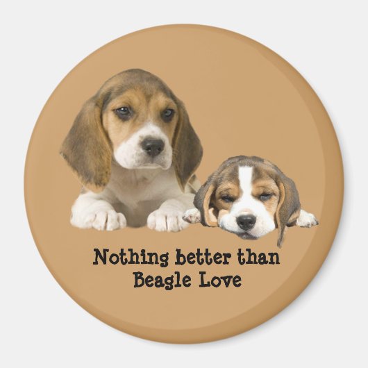 Magnet des beagles (Devant)