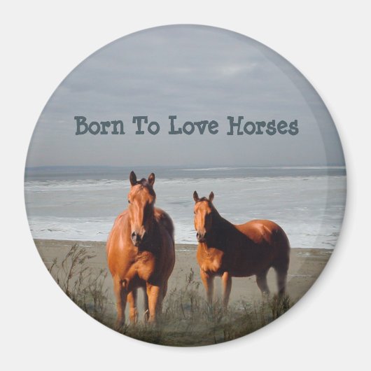 Magnet des Chevaux de plage (Devant)