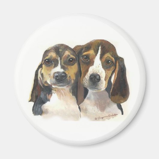 Magnet des chiots beagles (Devant)