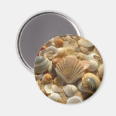 Magnet des coques de plage (Recto/Verso)