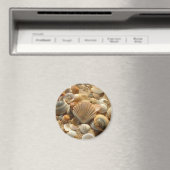 Magnet des coques de plage (In Situ (Lave-vaisselle))