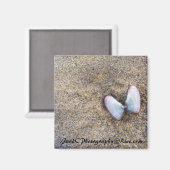 Magnet des coques papillon (Recto/Verso)
