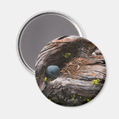 Magnet des courants (Recto/Verso)