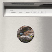 Magnet des courants (In Situ (Lave-vaisselle))