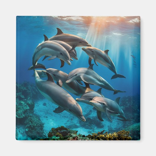 Magnet des dauphins (Devant)