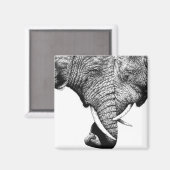 Magnet des éléphants africains (Recto/Verso)