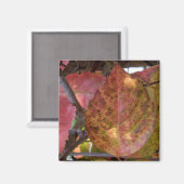 Magnet des feuilles d'automne (Recto/Verso)
