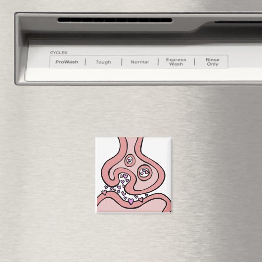 Magnet des neurotransmetteurs cardiaques (In Situ (Lave-vaisselle))