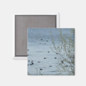 Magnet des oiseaux du lac (Recto/Verso)