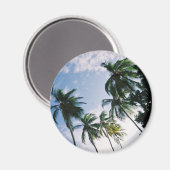 Magnet des palmiers (Recto/Verso)