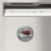 Magnet d'escargot romain (In Situ (Lave-vaisselle))
