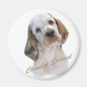 Magnet d'espagne de compostage