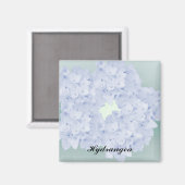 Magnet d'hortensia à peine bleu (Recto/Verso)
