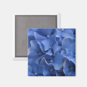 Magnet d'hydrangées bleues (Recto/Verso)