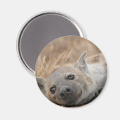 Magnet d'images Hyena (Recto/Verso)