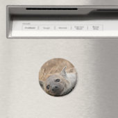 Magnet d'images Hyena (In Situ (Lave-vaisselle))
