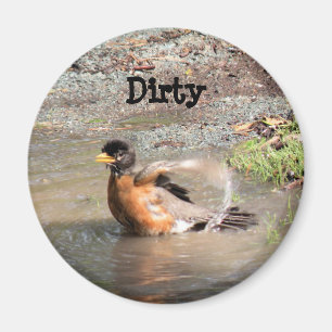 Magnet, Dishwasher, Robin die een Bath pakt, Dirty Magneet