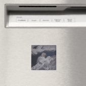 Magnet d'observateur silencieux (In Situ (Lave-vaisselle))
