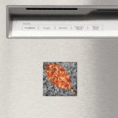 Magnet d'ombres lumineuses (In Situ (Lave-vaisselle))