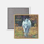 Magnet Donkey 01 Magneet (Voorkant / Achterkant)