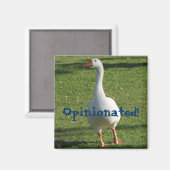 Magnet d'opinion ! (Recto/Verso)