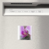 Magnet d'orchidée (In Situ (Lave-vaisselle))