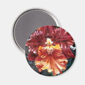 Magnet d'orchidée (Recto/Verso)