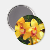 Magnet d'orchidée jaune (Recto/Verso)