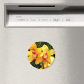 Magnet d'orchidée jaune (In Situ (Lave-vaisselle))