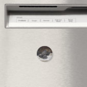 Magnet Dot.ca (In Situ (Lave-vaisselle))