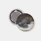 Magnet Dot.ca (Recto/Verso)