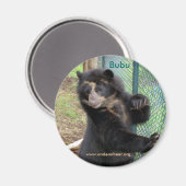 Magnet d'ours des Andes Bubu (Recto/Verso)