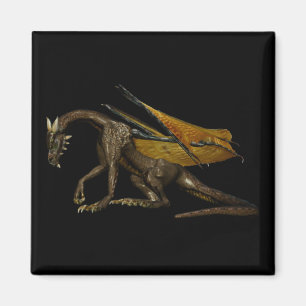 Magnet Dragon