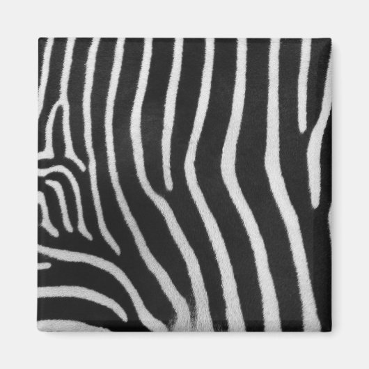 Magnet du Carré Motif Zebra Stripe (Devant)