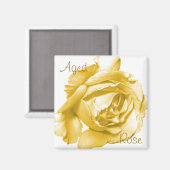 Magnet du Carré Rose âgé (Recto/Verso)