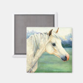 Magnet du cheval arabe (Recto/Verso)