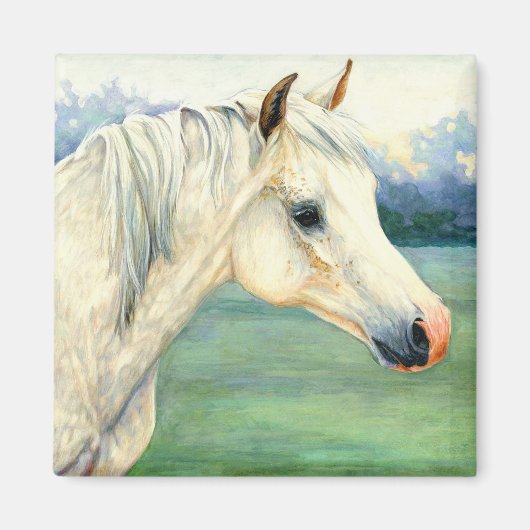 Magnet du cheval arabe (Devant)
