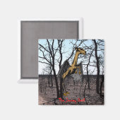 Magnet du diable Jersey (Recto/Verso)