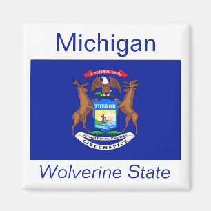 Magnet du drapeau du Michigan