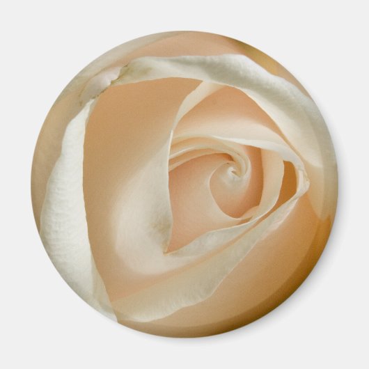 Magnet du Mariage Rose de pêche (Devant)