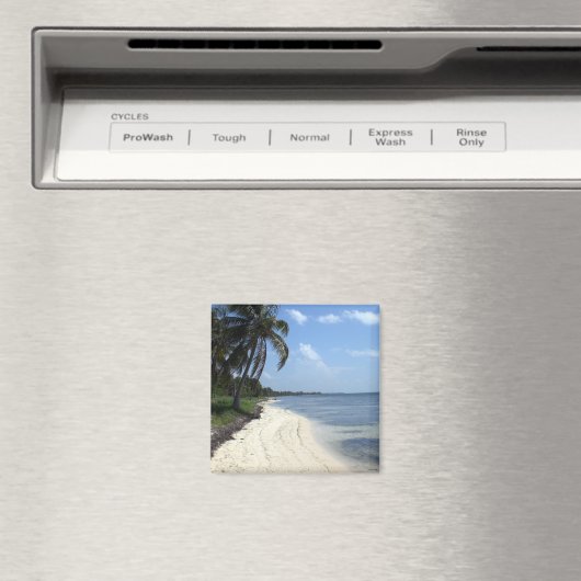 Magnet du Mexique (In Situ (Lave-vaisselle))