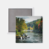 Magnet du parc d'état de l'Ohiopyle (Recto/Verso)