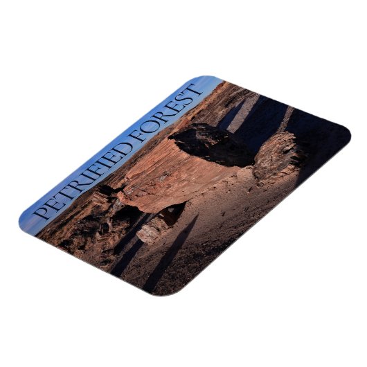 Magnet du parc national de la Forêt pétrifiée (Côté Gauche)